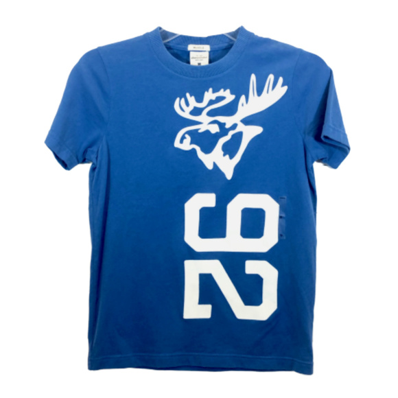 Abercrombie & Fitch Other - 5/$35 Abercrombie Boy's Blue T-Shirt - M - NEW
